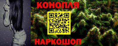PSILOCYBIN Кулебаки