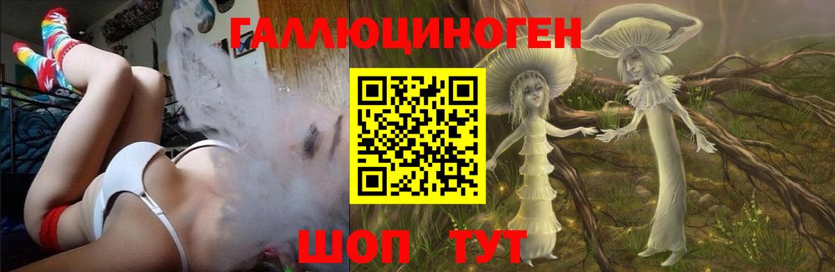 Гусиноозёрск  Галлюциногенные грибы Psilocybine cubensis  Вход с VPN 