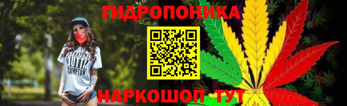 Шишки марихуана план  МАРИХУАНА VHQ  Канабис планчик  Бошки марихуана гибрид  Гусиноозёрск  Вход с VPN 
